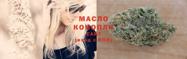 таблы Бородино