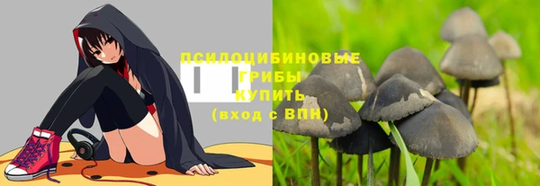 таблы Бородино
