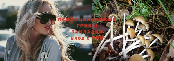 не бодяженный Бронницы