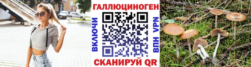 Псилоцибиновые грибы Cubensis  наркотики  Шали 