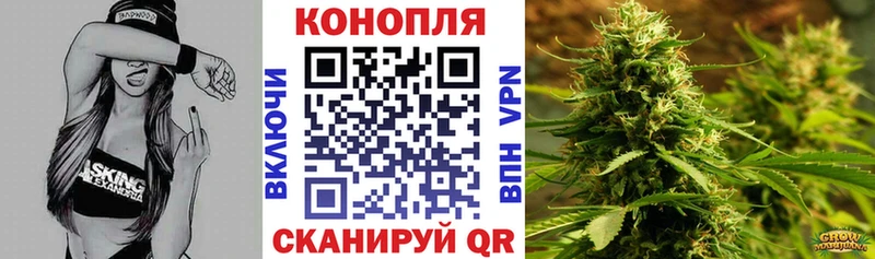 Конопля ГИДРОПОН  как найти наркотики  Шали 